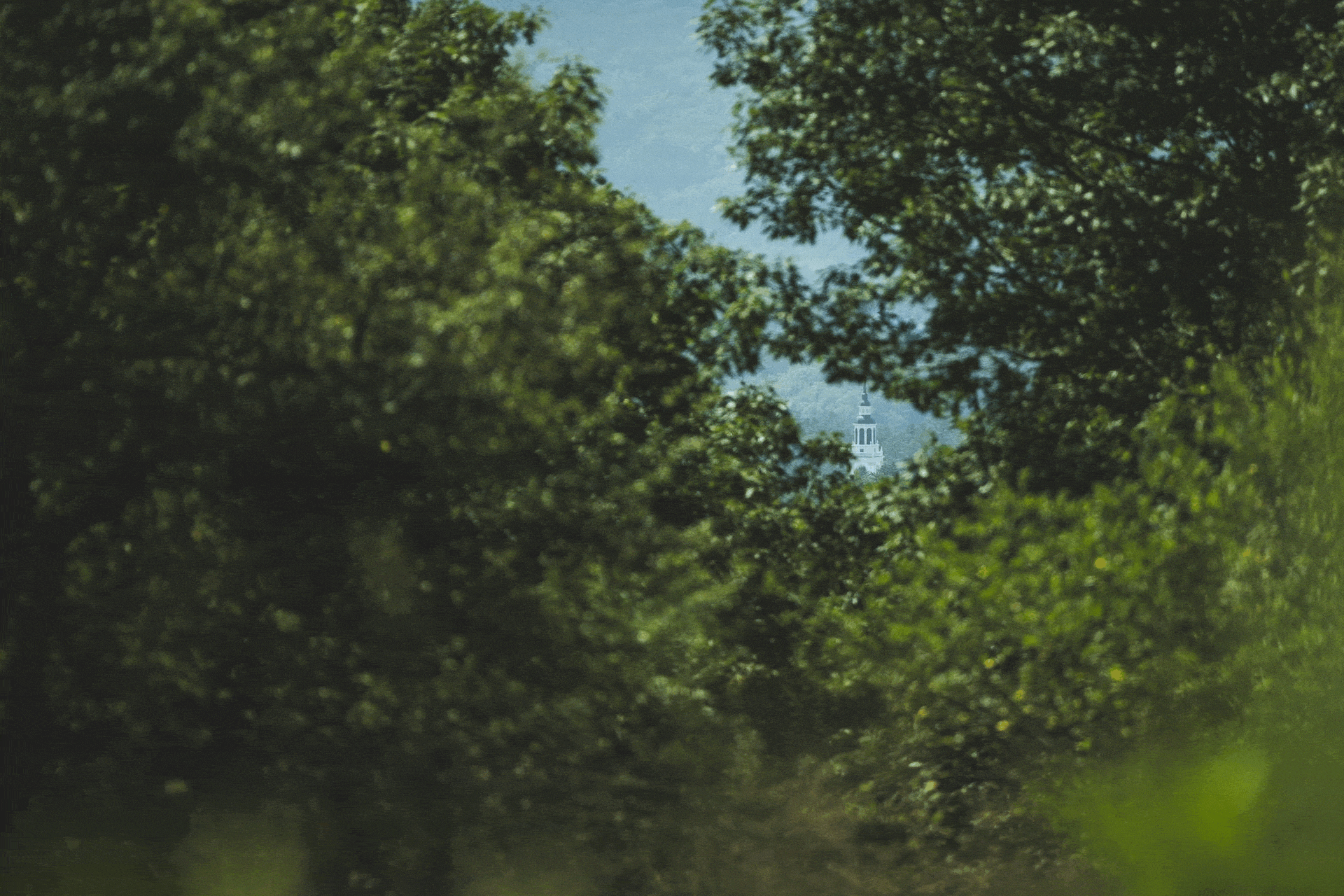 Photos from around campus this July