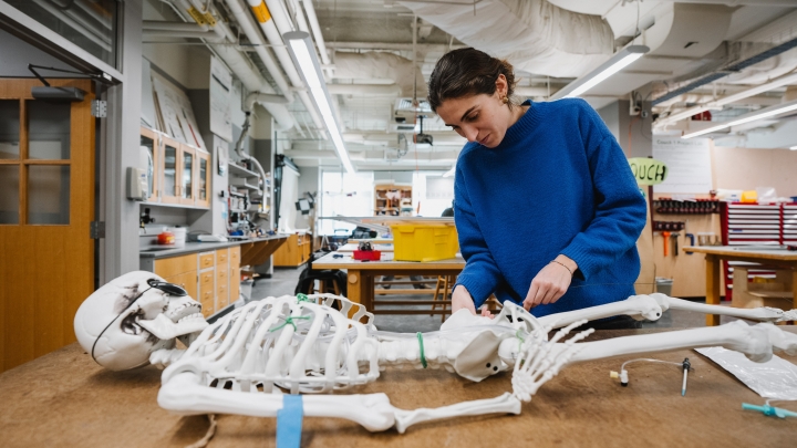 Student examining skeleton