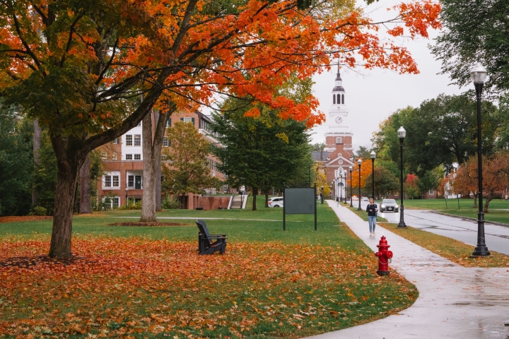 Fall leaves with Baker Tower in the background