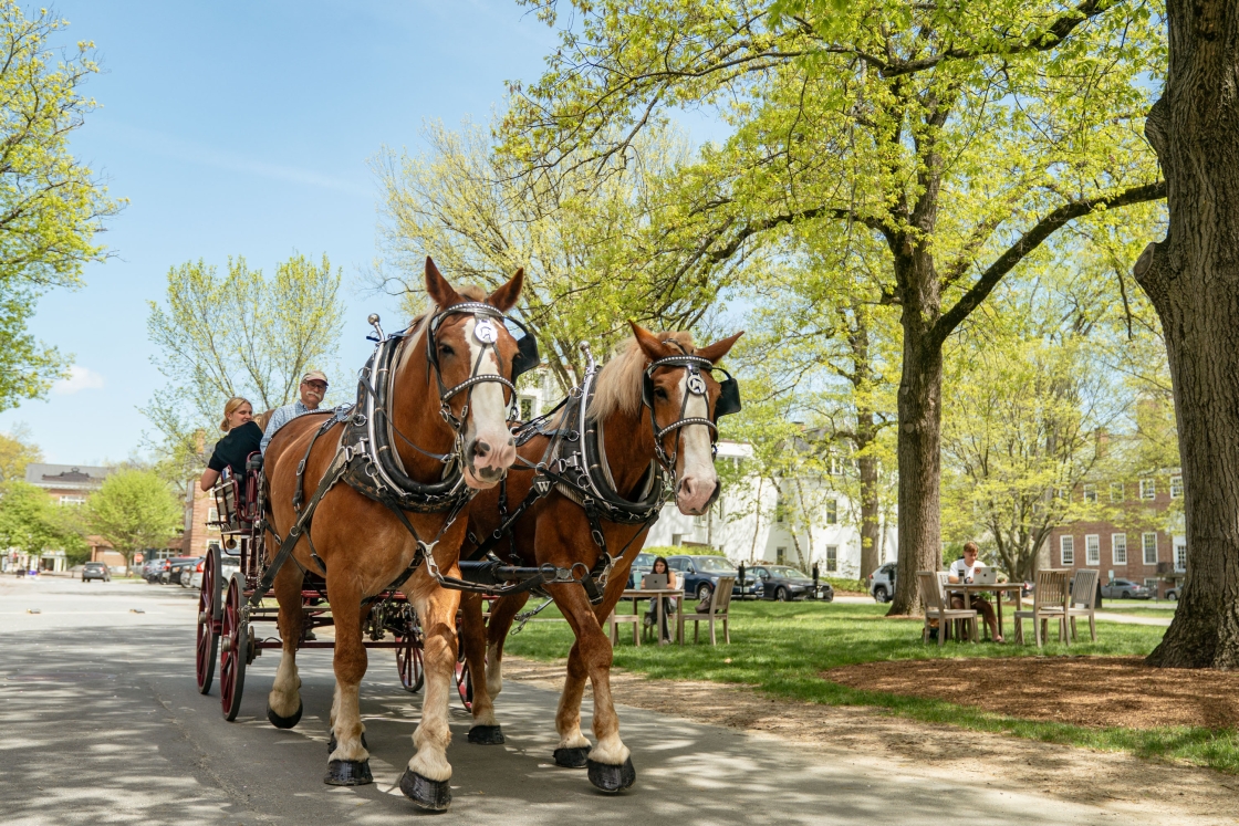 Two draft horses pulling a carriage of people