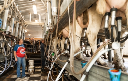 Cousins Liz and Jay McNamara milk cows