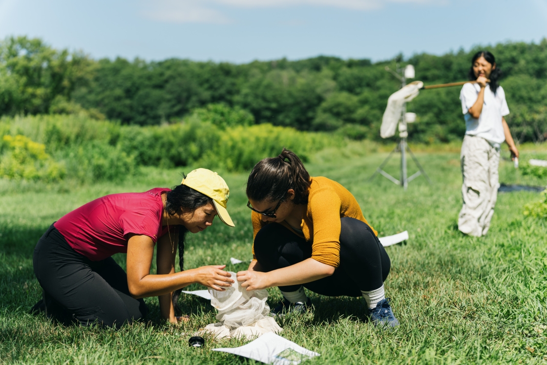 “ENVS 025 Agroecology” students are collecting and observing insects..