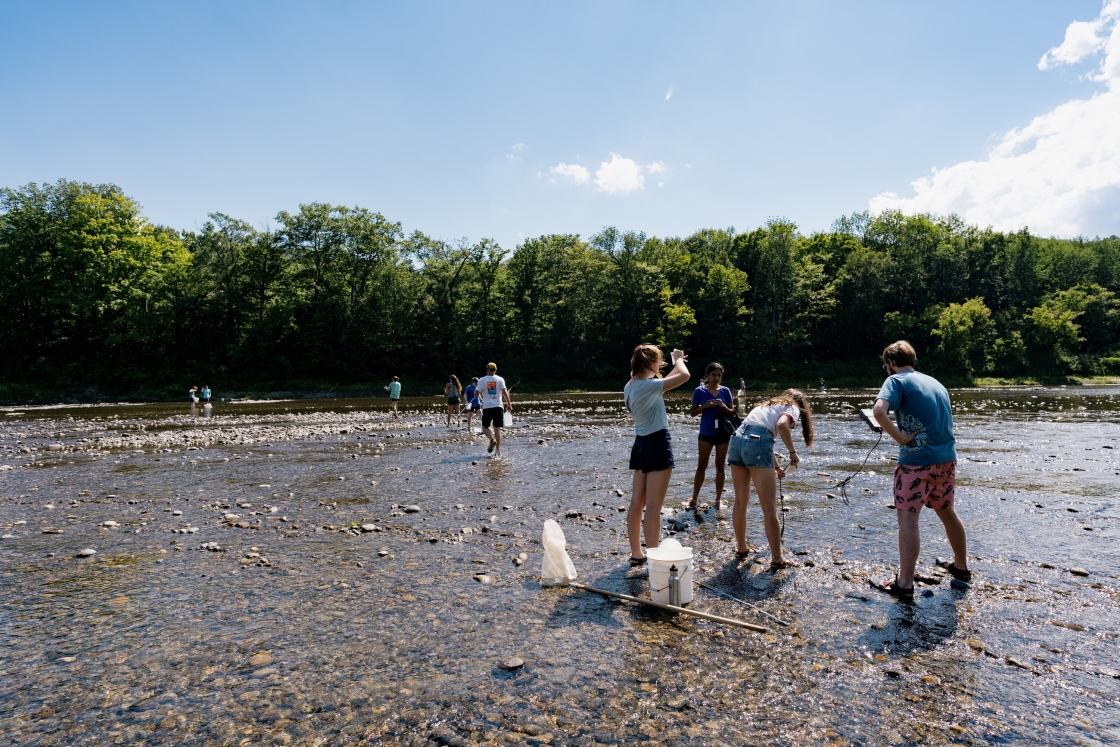 Methods in Ecology class sample a stream bed habitat