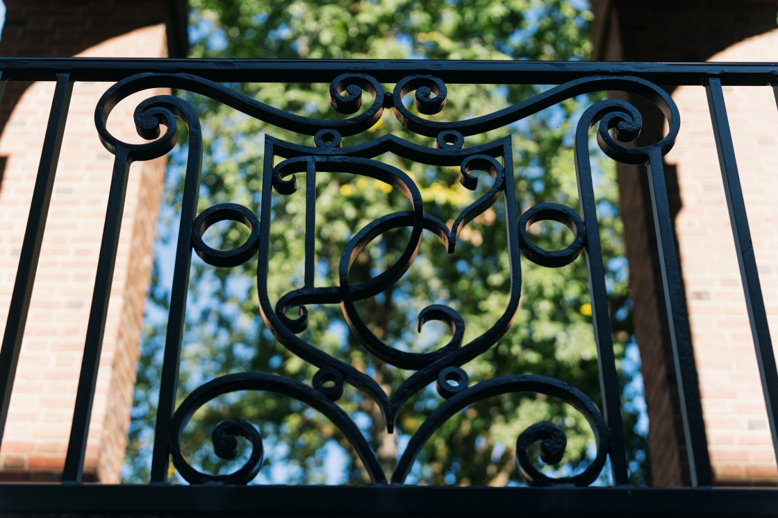 Wrought iron fence