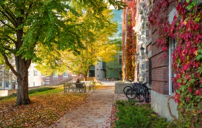 Colorful ivy and trees outside of Wilder Hall