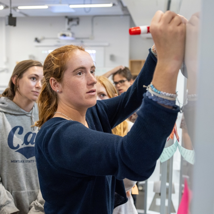 Student writes on whiteboard