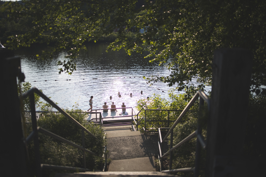 Students swimming at the docks