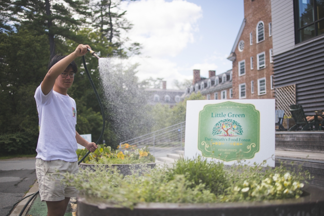 Jeffrey He watering the Little Green Food Forest