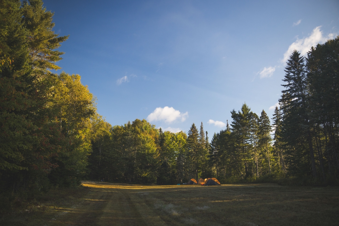 Tents out in a field