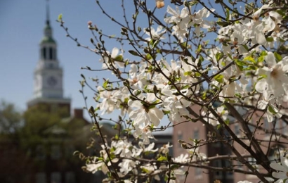 Baker Tower and flowers