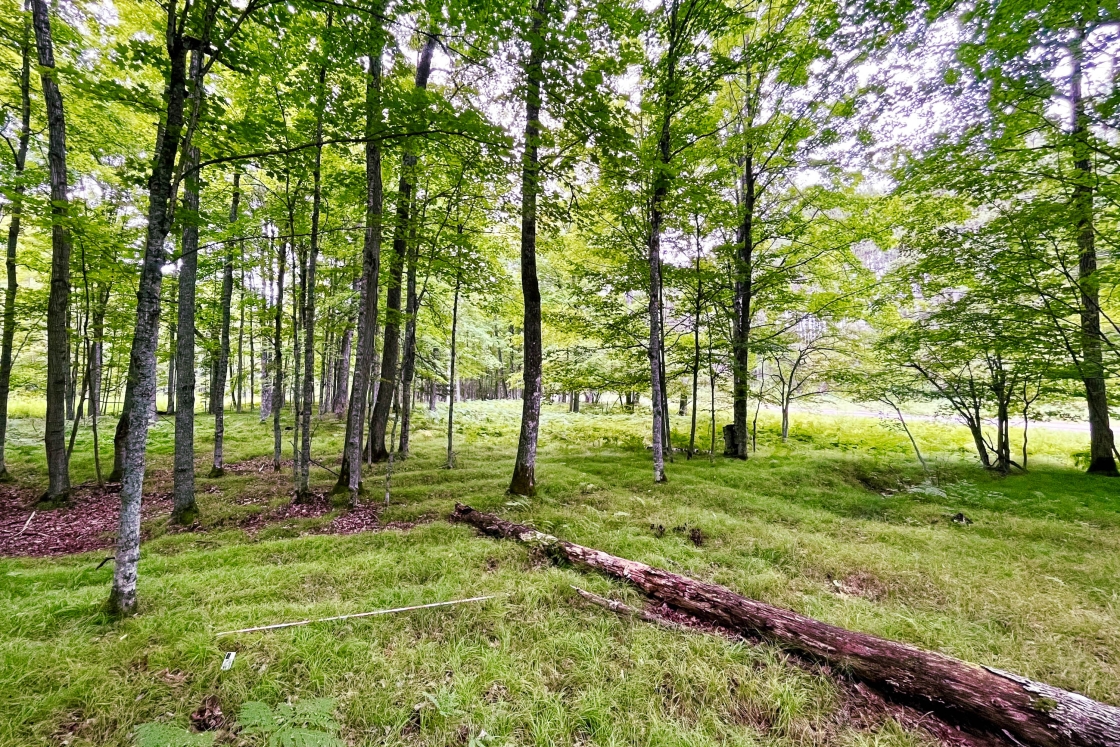 Raised agricultural beds
