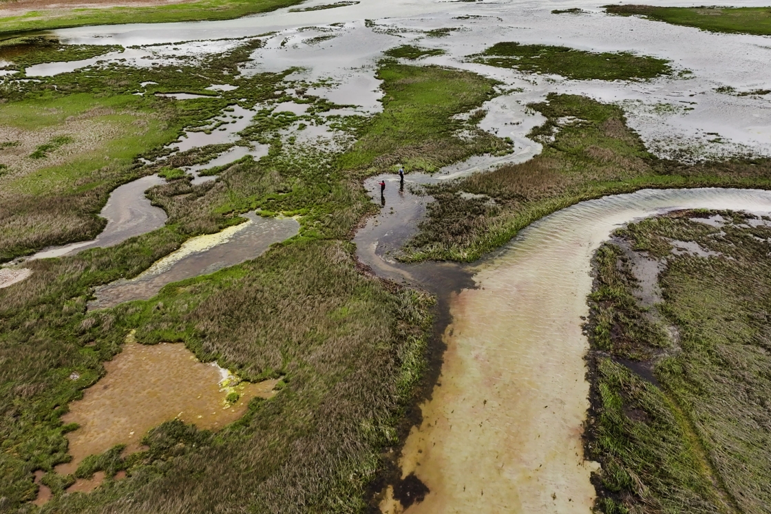 Overhead view of students in a marsh
