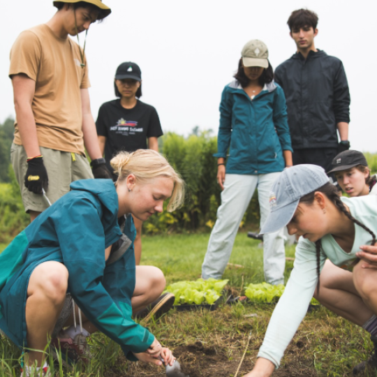 Students gardening at O-Farm